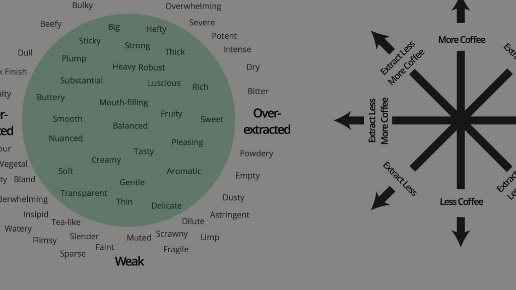 The Coffee Compass - How to brew the perfect cup of coffee.